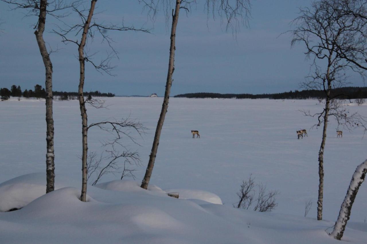 Villa Váibmu Inari Esterno foto