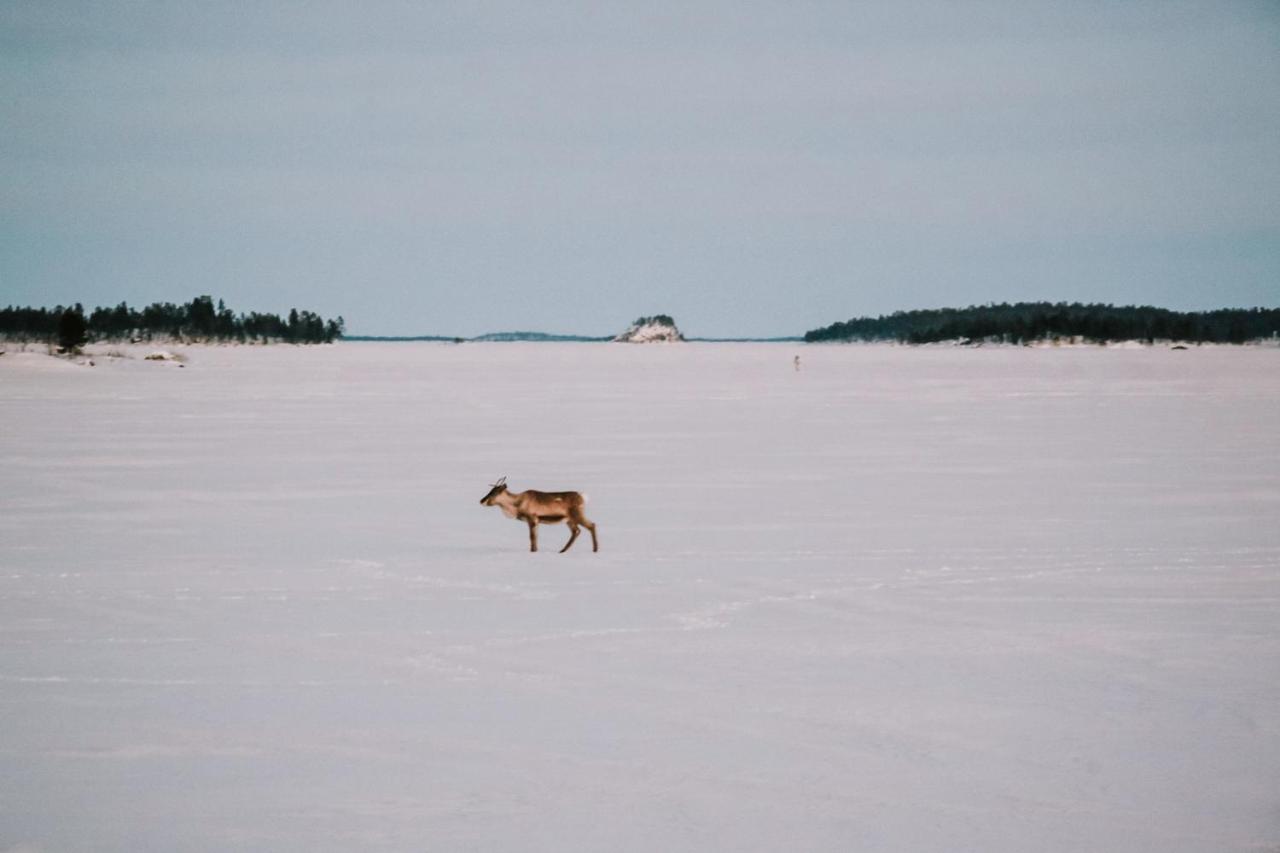 Villa Váibmu Inari Esterno foto